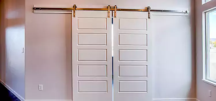 Glass Barn Door with Installation Hardware Kit El Dorado Hills
