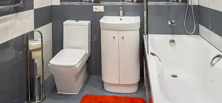 Hansgrohe Shaving Mirror El Dorado Hills